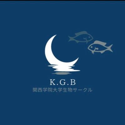 関西学院大学生物サークル公式アカウントです。当サークルの紹介や活動報告を行います。当サークルに興味をお持ちの方は、気軽にDMやGmailにてご連絡ください。 サブ垢 : @KG_seibutsu メール：seibutsu1871@gmail.com #インカレ #関学サークル