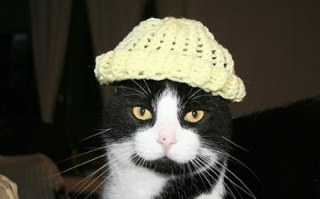 blulou's profile picture. Recovering former social media professional