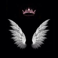 ساره 🕊 (@s_li_3) Twitter profile photo