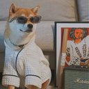 Dina Wood - @DinaWoo22890654 - Twitter