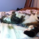 Per Nilsen - @hydroxis - Twitter