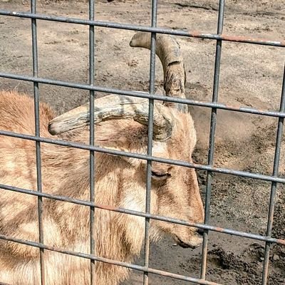 naname (@n4n4m3x) / Posts / X