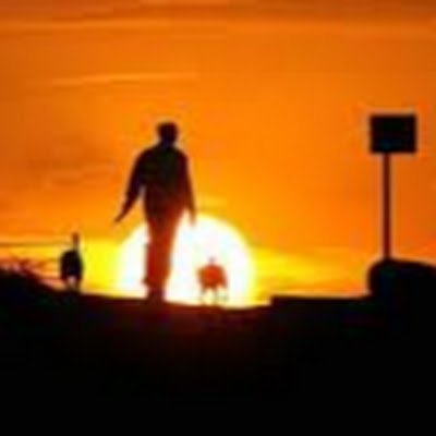 SureshK0P's profile picture. 