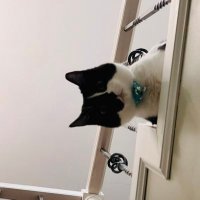 Sdub (@sdub01) 's Twitter Profile