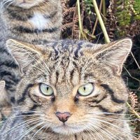 R ๐๐ช๐บ ๐ฌ๐ง #FBPE #GeneralElectionNow #ToriesOut (@vortexofzero) 's Twitter Profile