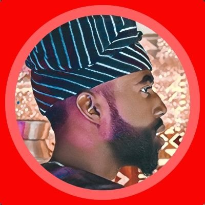 One of Nigeria's most influential citizen | IT System Administrator | Software Engineer | 21 times featured in local & Int'l. Independent Newspapers | YNS