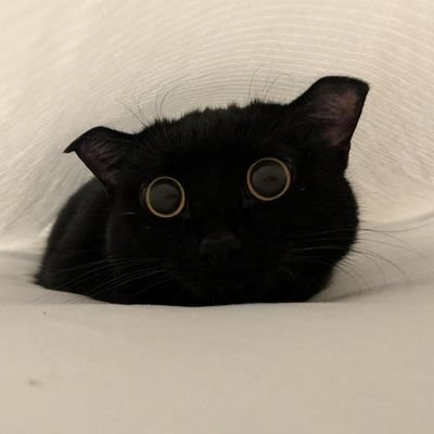 Soobin_Lovd's profile picture. Iam Happy 💙✨