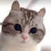 UnderMuh (@muh_under) Twitter profile photo UnderMuh (@muh_under) Twitter profile photo