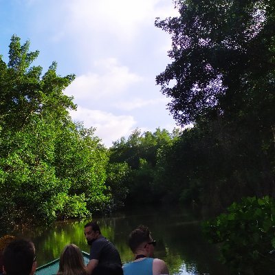 yjohnson325's profile picture. 