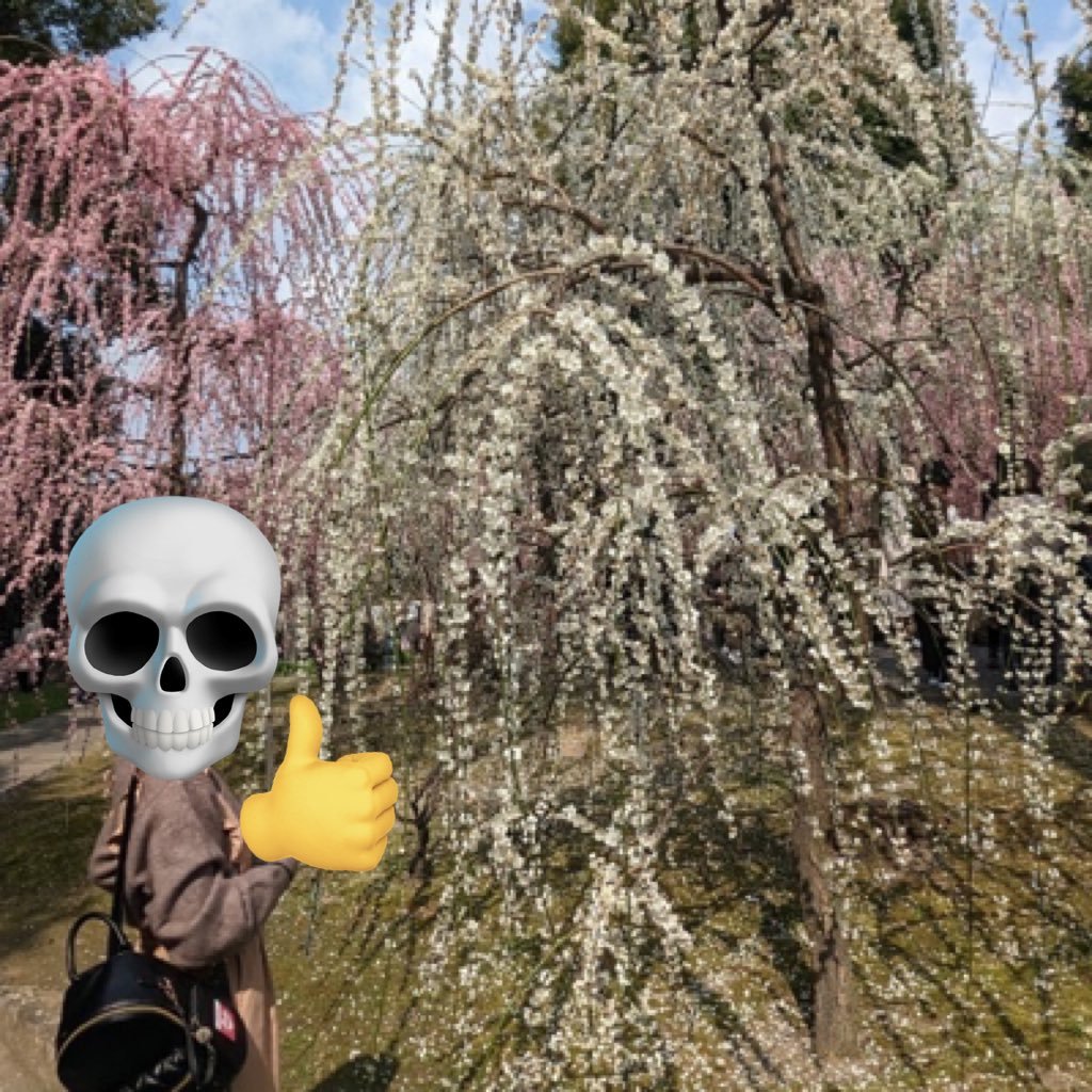 aoki_o_tasukete's profile picture. 20↑／取引垢／腐夢百合🙆‍♀️