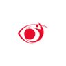 visionaliveng's profile picture. A foremost youth organization with the mission of raising leaders for global transformation.