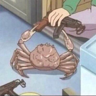 senechal_damien's profile picture. 