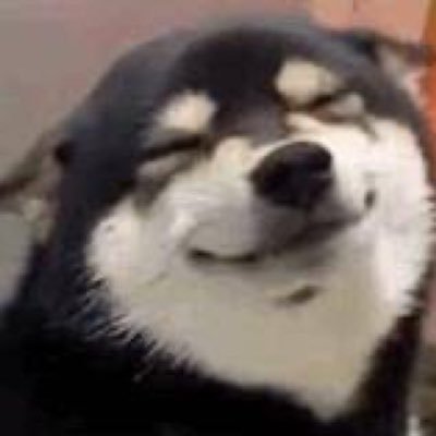 bagelbliss's profile picture. 