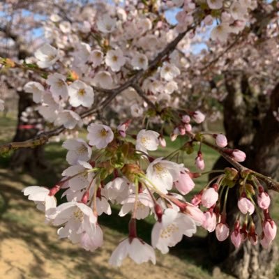 lSlPAA8KFqUlWm0's profile picture. 平安文化オタクの雑多な趣味アカ。 たまにアニメ感想投下します。源氏物語クラスタ/推しカプは柏木×女三の宮。最近CLAMP作品にハマる。黒ファイ、ライカイ、スザルル、ルルC、ギン乱、ロイヨル最高