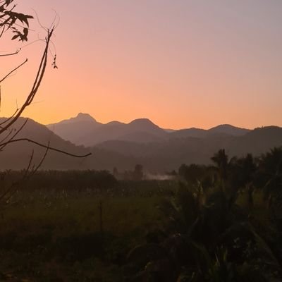 buddu3777's profile picture. Molecular Biology and Evolution