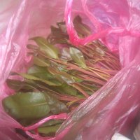 ابو صقرالعربي (@skraarabi) Twitter profile photo