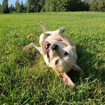 itaintizzy's profile picture. 