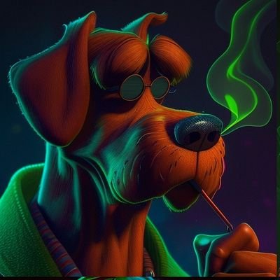 rkboss__'s profile picture. Décentralisée 🇵🇸🇩🇿🇨🇦