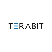 TeraBit IT(@TerabitIt) 's Twitter Profile Photo