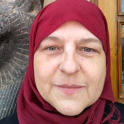 AfterHardship's profile picture. Muslim-American teacher back in the Midwest 🐄🌳 after 13 yrs on hijrah (migration for Allah) in Egypt 🐪🌴.
