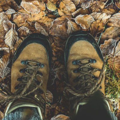 GwynethSwe68891's profile picture. 