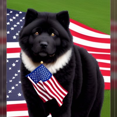 MAGA CHOWS Make America Great Again! GRIMS MEMES ALT ACCOUNT WHO LET THE DOGS OUT! Conservative, MAGA, Trump 2024! 1A 2A Pureblood, I make Memes Starting Over