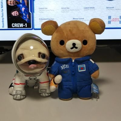 くまやん くまやんとおちゃん (@ryurai_toochan) / Posts / X