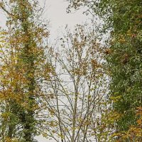 Ozan Kaan (@ozankaa48310007) 's Twitter Profile