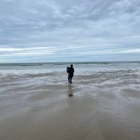 Hannah Rush (@dr_hannah_rush) 's Twitter Profile