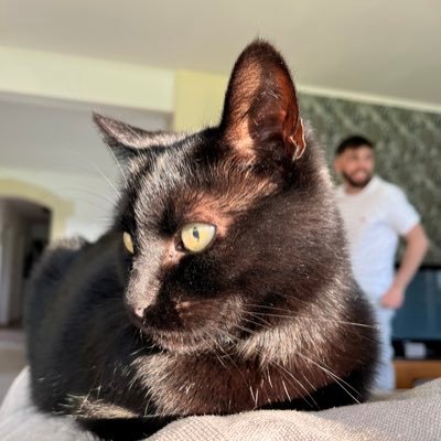 ChaudyTheo's profile picture. 