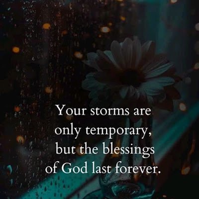 GWitson97420's profile picture. Gemstone investor and a farmer 👩‍🌾