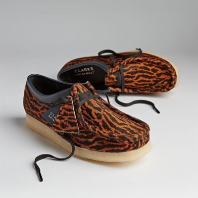 Afri_cana008's profile picture. #bloging #free life 
#0798528868 for business in currie $