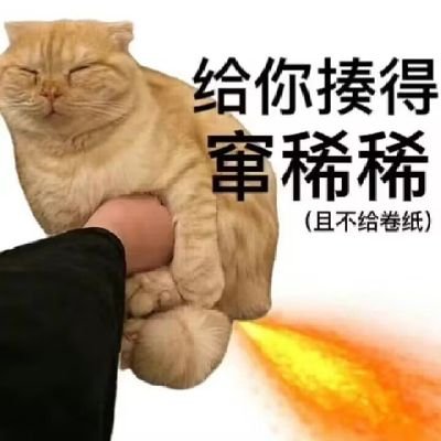 chazizhou's profile picture. 恨死这个b世界