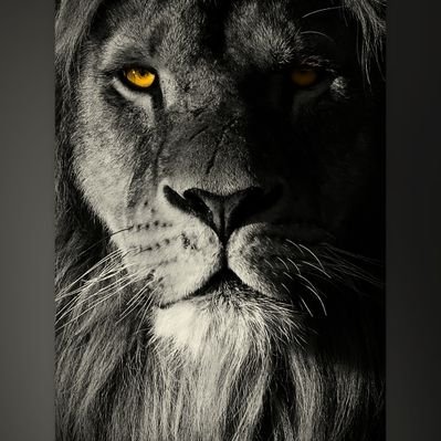 chavleux1's profile picture. |🏞 #NFT Promoter |🎮#GameFI |💎#BTC|✉DM for Collab. 合作请私信。Co-manager： @giantcutie666 所有项目不构成投资建议 DYOR#ส้้้้้้้้้้้้้้้้้้้้้้้้้้้้้้้้้้้้้้้้้้้้้้้้