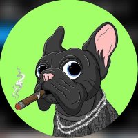 🇺🇸FRENCH | BOLLDOG🖤🖤(@frenchie_cute_) 's Twitter Profile Photo