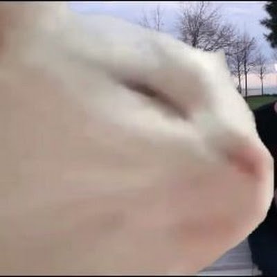 Infurrnet's profile picture. 