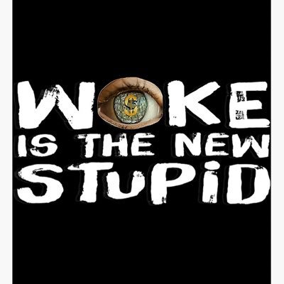 🇺🇸 AMERICA FIRST 🇺🇸 Very pragmatic & have 0 tolerance for woke stupidities. Wokeness is a serious brain disease and I don’t care about your pronouns either!