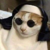 laurinha 🏴☠️🇵🇹 (@outsider_murphy) 's Twitter Profile