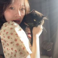 菲菲菲菲非常美丽的巨兔12138 (@lian08866) Twitter profile photo