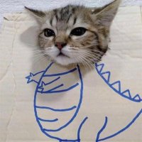 kkpx (@kkpxforu) 's Twitter Profile