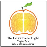 English_Neuro_Lab (@englishdanielf) 's Twitter Profile