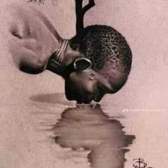 Kokikago's profile picture. 