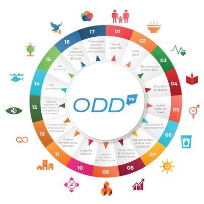 Web TV consacrée aux questions de #DeveloppementDurable
#OddTV, au cœur du développement durable !  #ODD #ONU #Team229