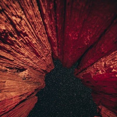 Annabel09996139's profile picture. 