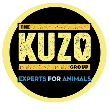 KUZOgroup Profile Picture