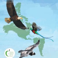 TDSB Latin-America History Month (@tdsblahm) 's Twitter Profile