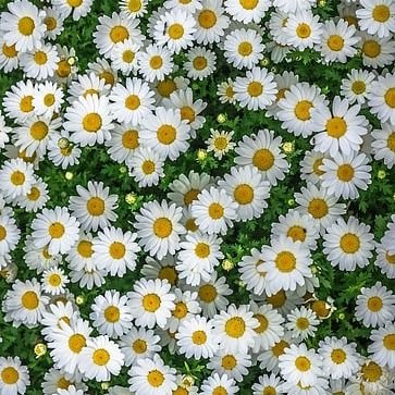 KuntBaby's profile picture. 