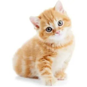 cecilou73188's profile picture. 