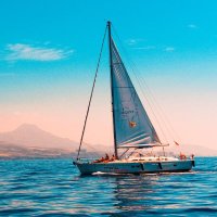 True Explorer (@true_explorer) 's Twitter Profile