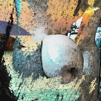 Andyray4711 (@andyray4711) 's Twitter Profile